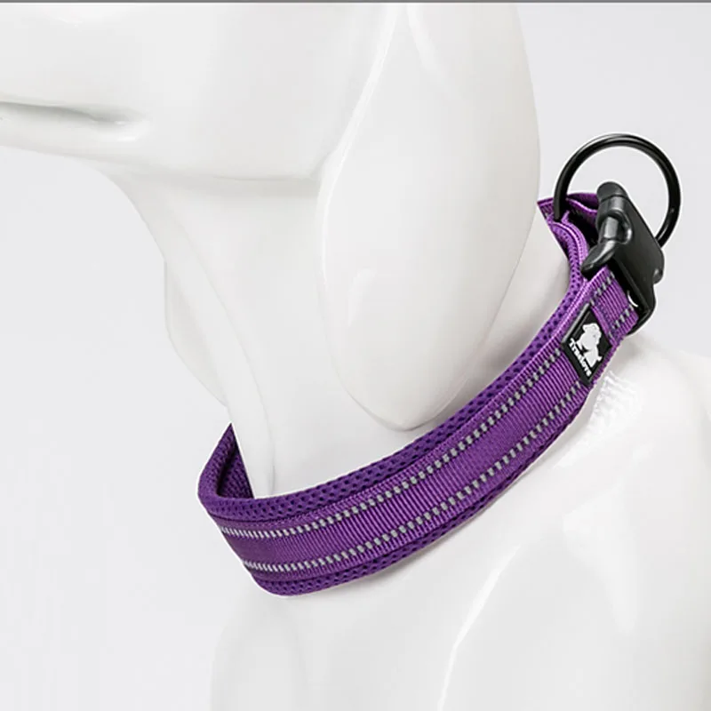 purple dog collar