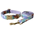 Dog Collar Leash Set