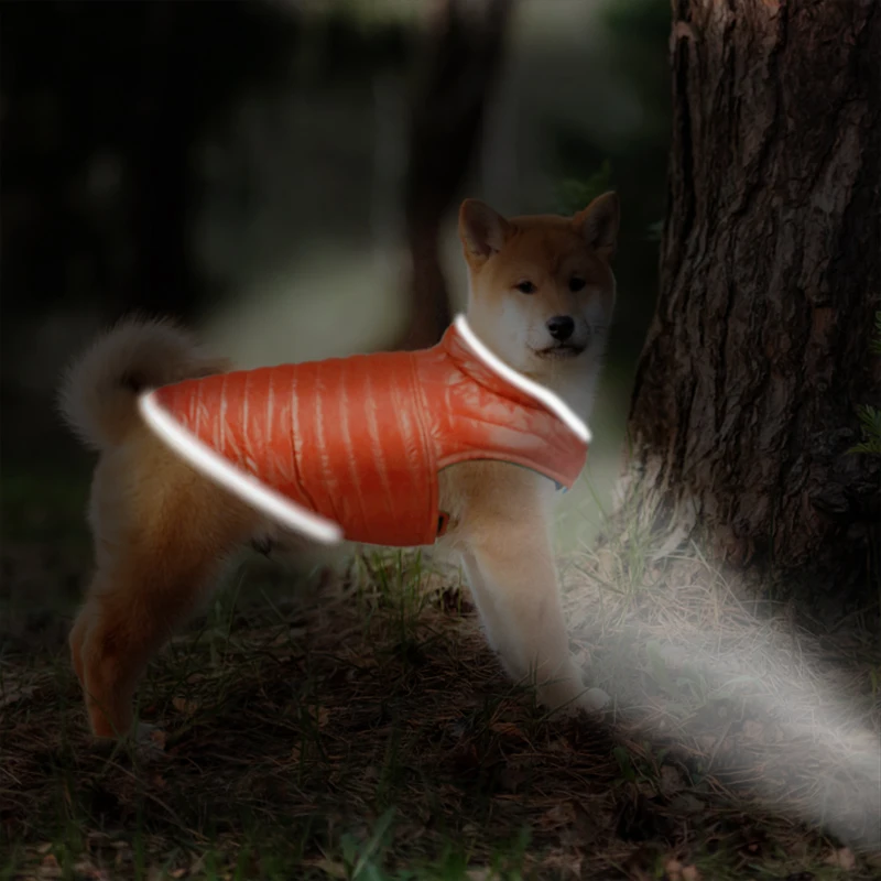 Plumones y parkas de perro