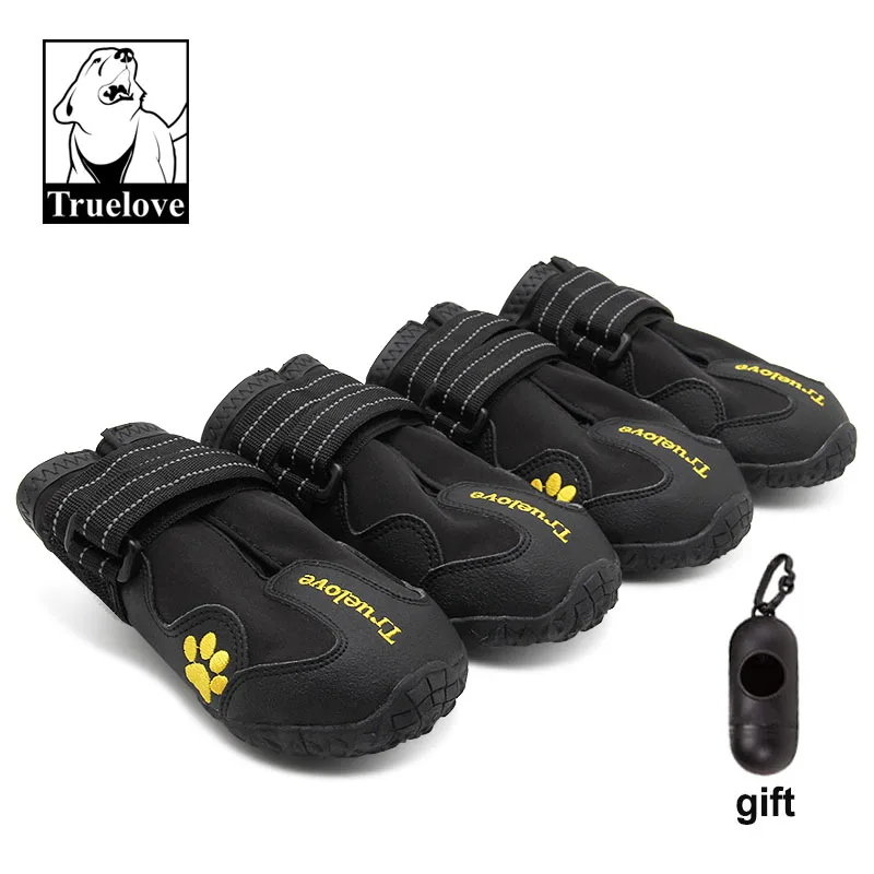 Black dog shoes