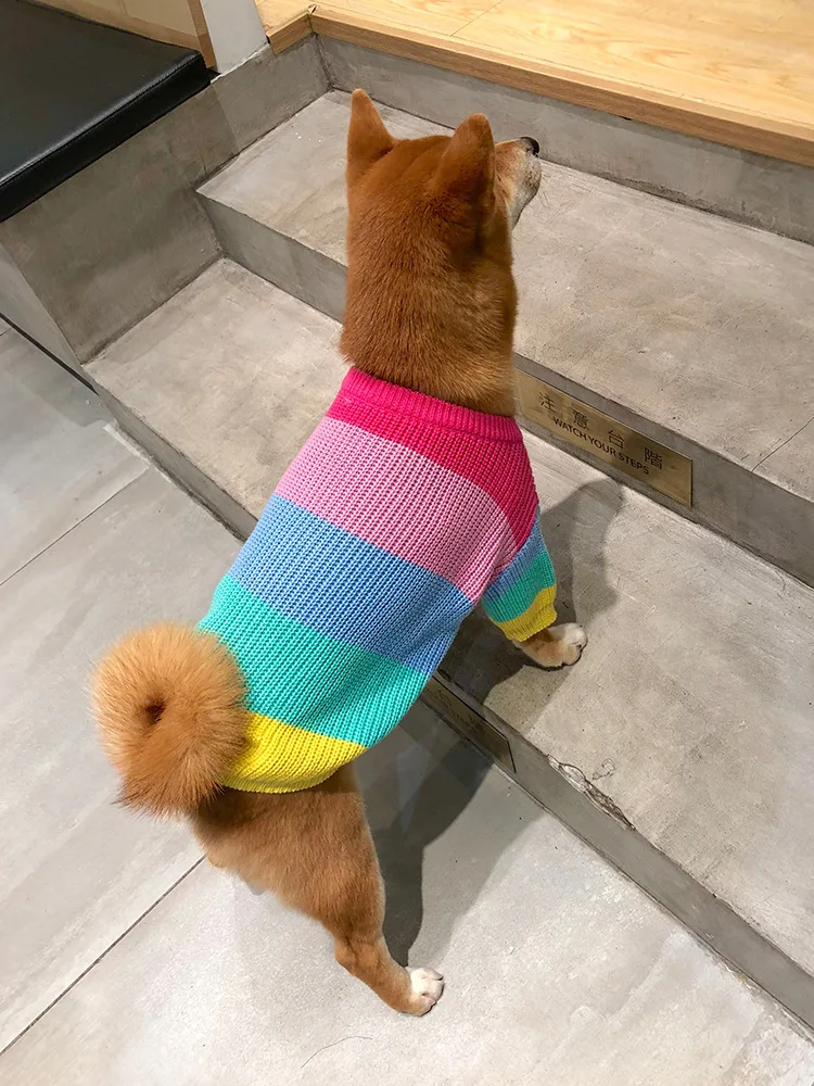 Suéter de punto de arcoíris para mascotas, sudadera cálida para perros, ropa de invierno para cachorros y gatitos - imagen 3