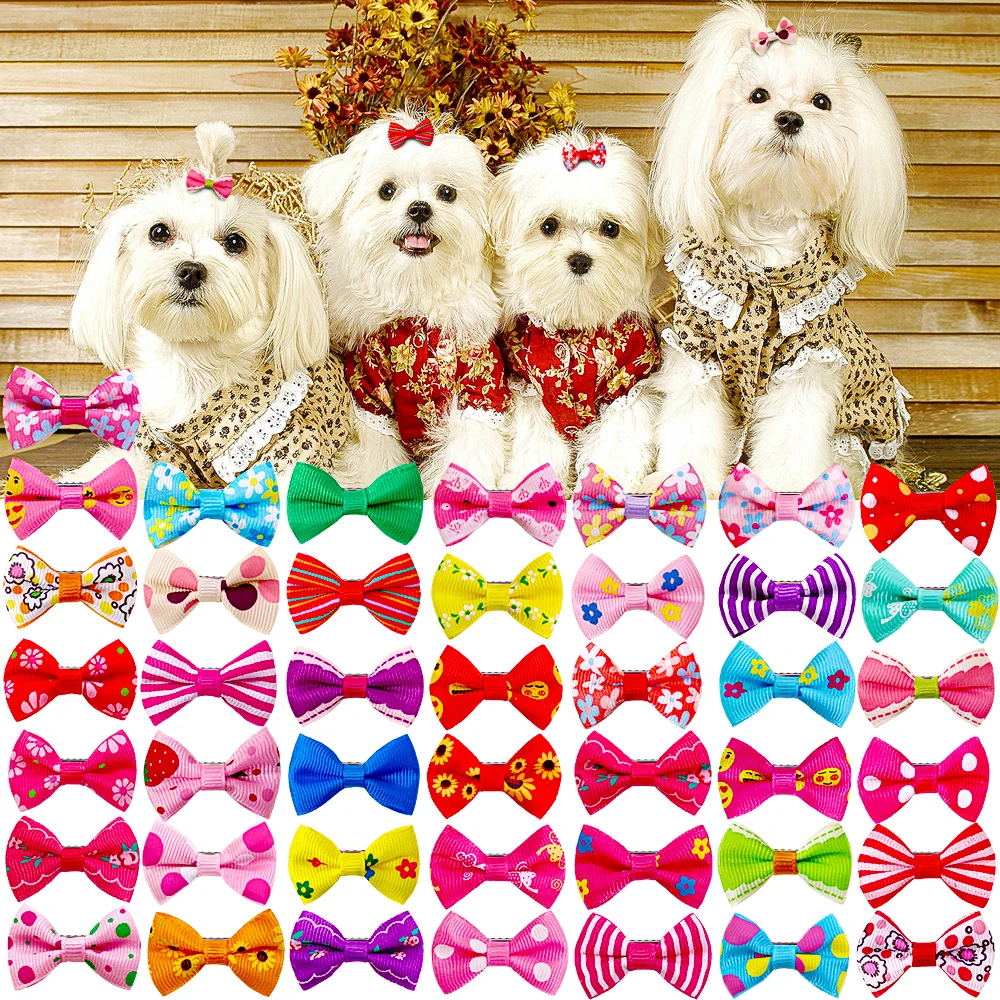 100 Lazos para Perros Masue Pets - imagen 5