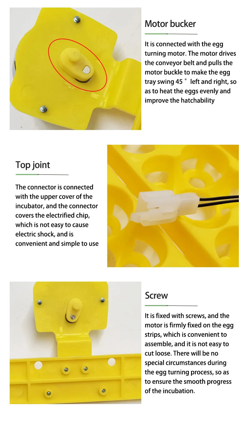 Bandeja incubadora de 36 huevos de codorniz, girador automático de platos de huevo, equipo de incubación de aves de corral para pollitos, patos y aves - imagen 5