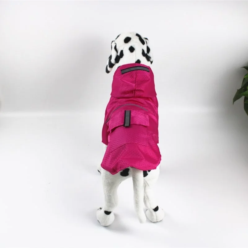 Un perro pequeño con una chaqueta rosa