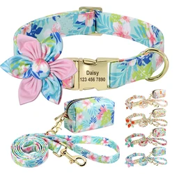 Kit collar y correa para perros pequeños y medianos