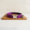 Cat Collar