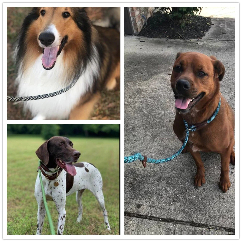 Benepaw-Collar de cuerda antideslizante duradera para perro, Correa 2 en 1 con lazo ajustable, arnés cómodo para mascotas pequeñas y grandes - imagen 3