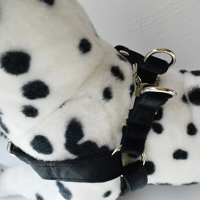 Franela 13 correas para el pecho para perros correas para el pecho personalizadas para cachorros terciopelo negro grabado gato cachorro mascota identificación nombre número dirección etiqueta - imagen 4