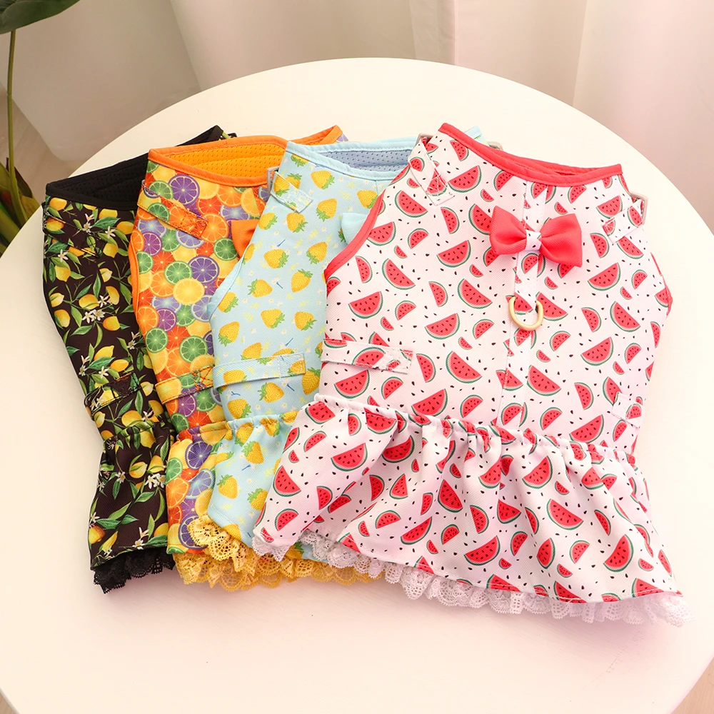 Arnés Correa Perros Pequeños - imagen 2