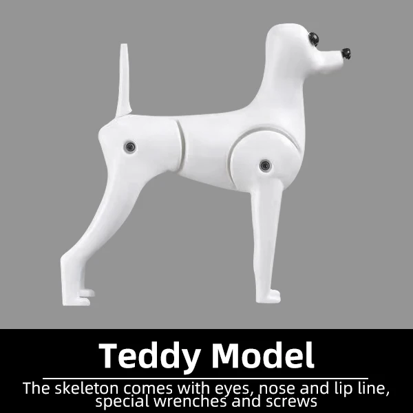 Teddy skeleton only
