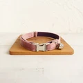 Cat Collar