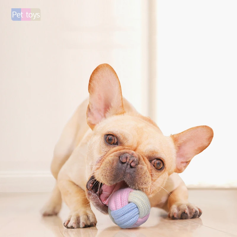 Juguetes Para Perros de algodón con nudo para masticar, cuerda trenzada duradera para mascotas, cachorro, 15CM, herramienta divertida, suministros para mascotas, Color macarrones - imagen 2