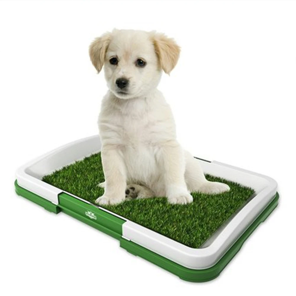Inodoro portátil para perros, orinal interior, bandeja de entrenamiento con césped Artificial, almohadilla para orinar fácil de limpiar para perros pequeños, suministros para cachorros y mascotas - imagen 2