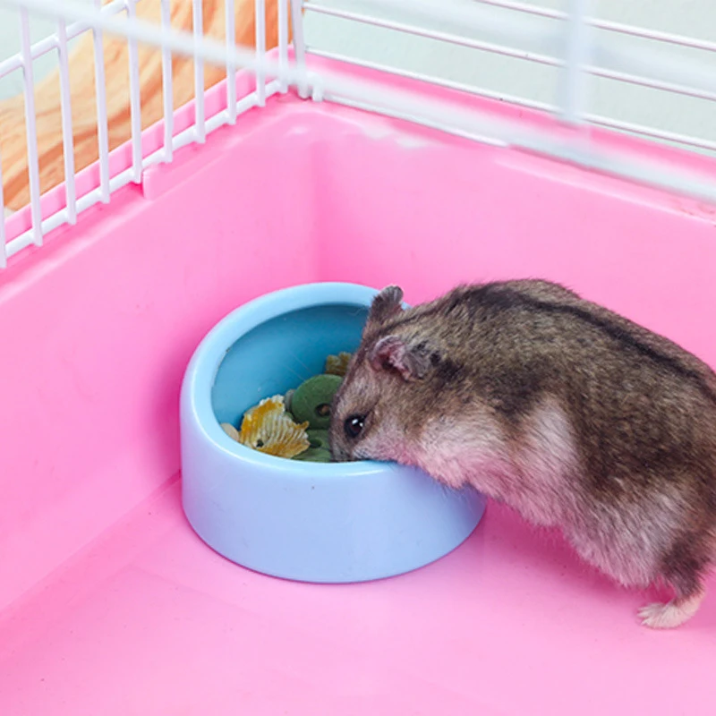 Cuenco de cerámica para comida de hámster, olla para aperitivos para animales pequeños, alimentador antimordeduras y antivibración para erizo, Chinchilla, plato de alimentación seguro para mascotas