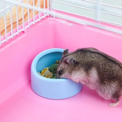 Cuenco cerámico para comida de hámster, erizos y chinchillas
