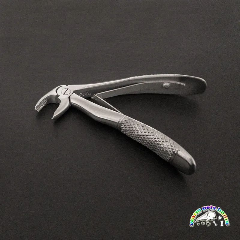 Fórceps de extracción de dientes de acero inoxidable para niños, instrumento Dental para perros y gatos - imagen 3