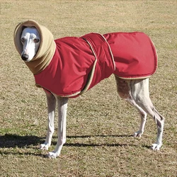 Impermeable para perros pequeños – Abrigo contra lluvia