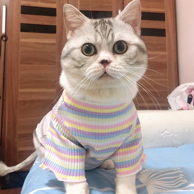 Ropa de algodón para Gato de primavera, ropa para Gatos, Gotas, Mascotas, dulce raya, cachorro, Sphynx, gato, Katten, chaleco, camisa ubranie dla kota - imagen 4
