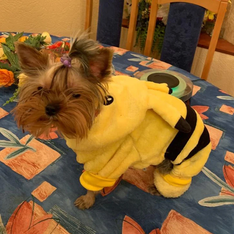 Detalle de los cierres del mono de invierno para mascotas