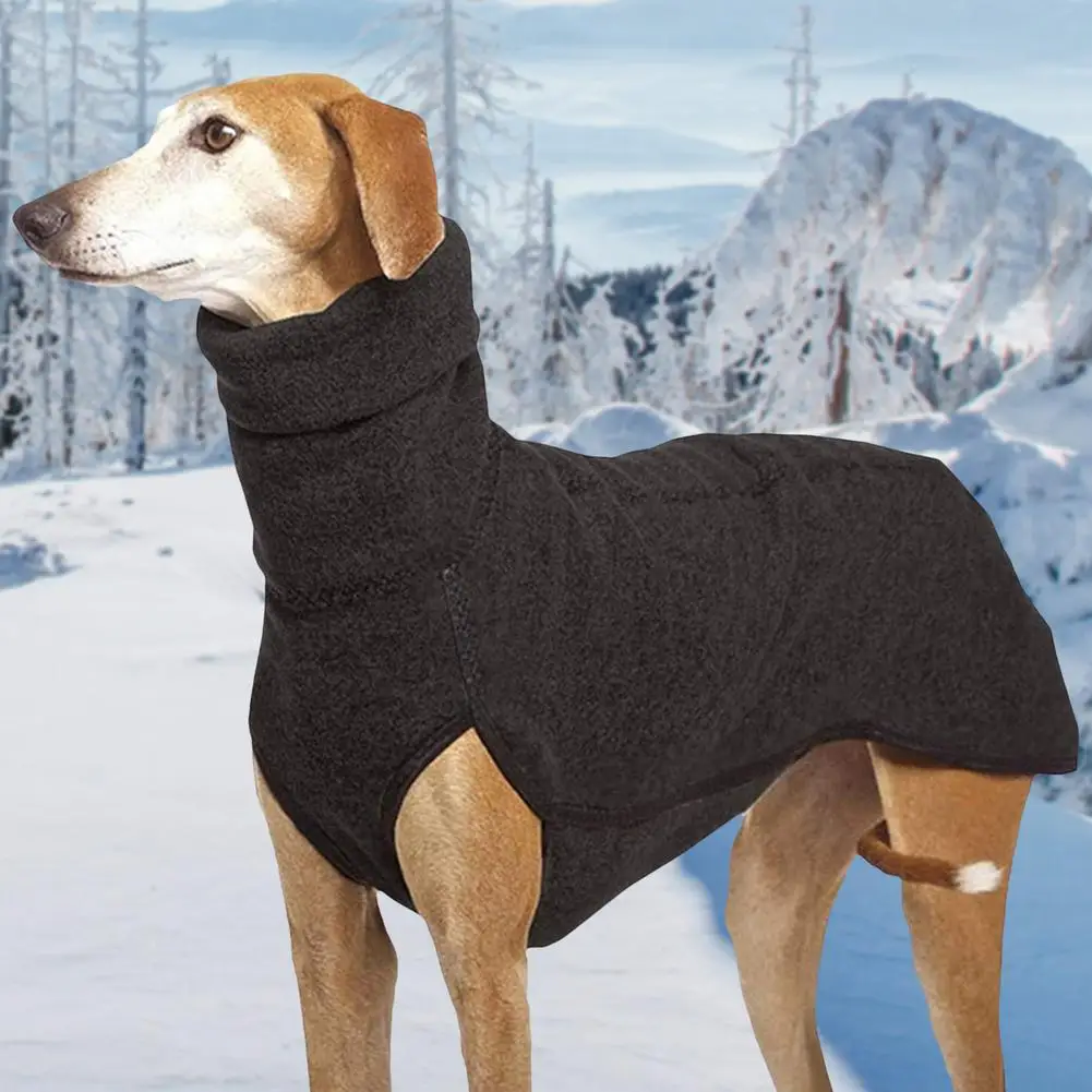 Suéter cálido de cuello alto para perro, ropa de punto para perros pequeños, Chihuahua, Otoño e Invierno - imagen 5