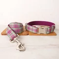 Dog Collar Leash Set