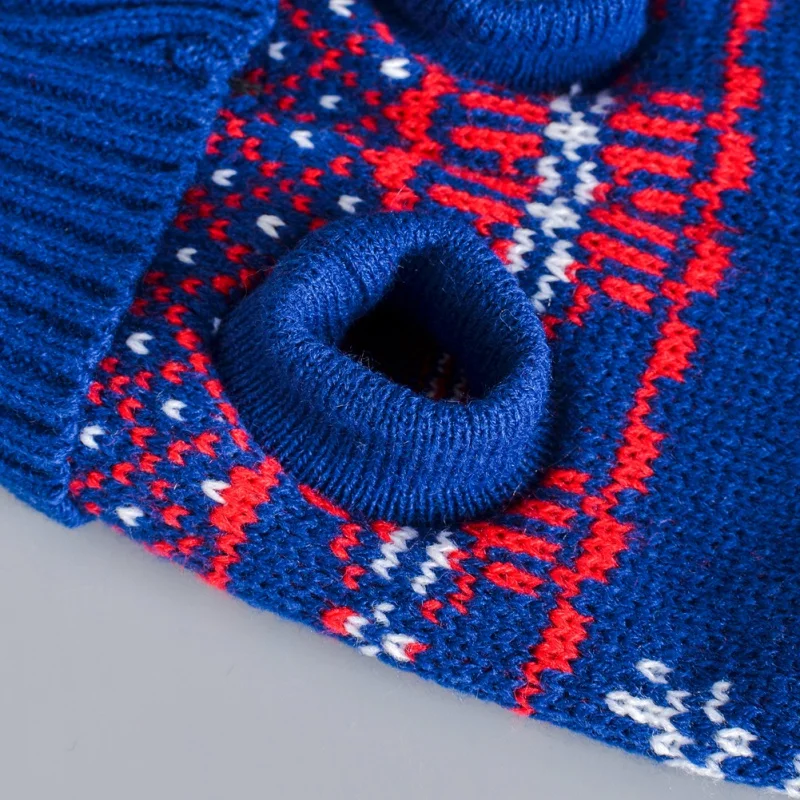 Perro paseando al aire libre con suéter de invierno