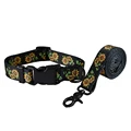 collar and leash set