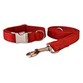 Dog Collar Leash Set
