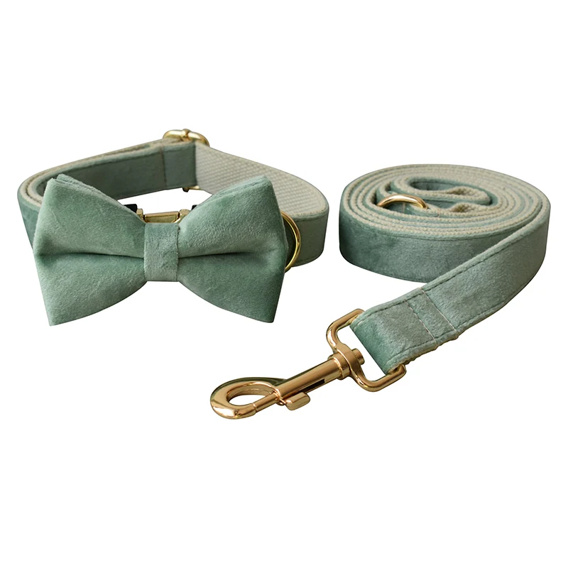 Bow Collar Leash Set