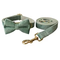 Bow Collar Leash Set