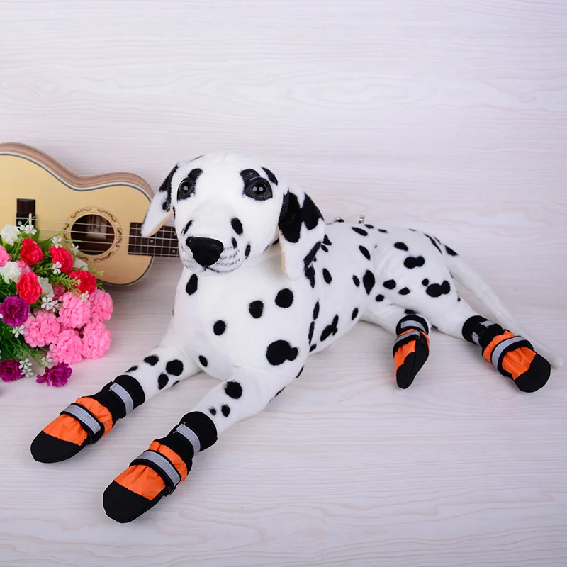 Calzado para perros XLeiPet - conjunto de botas