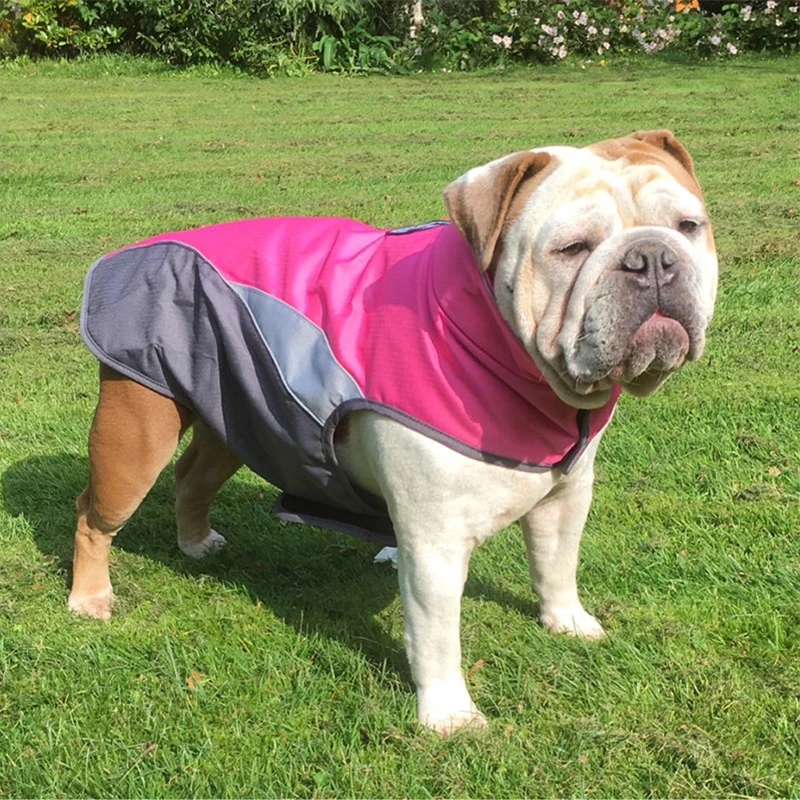 Ropa reflectante para perro, abrigo impermeable para perro, chaqueta para cachorro, chaleco cálido, ropa para perros grandes, XS-XXXL, envío directo - imagen 4