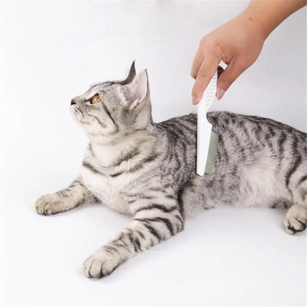 Peine de aguja de pulgas para gato, peine de acero inoxidable para el cuidado del pelo de perro, piojos, cómodo, removedor de pelo, limpieza de cachorros, peines para el cuidado de animales - imagen 3