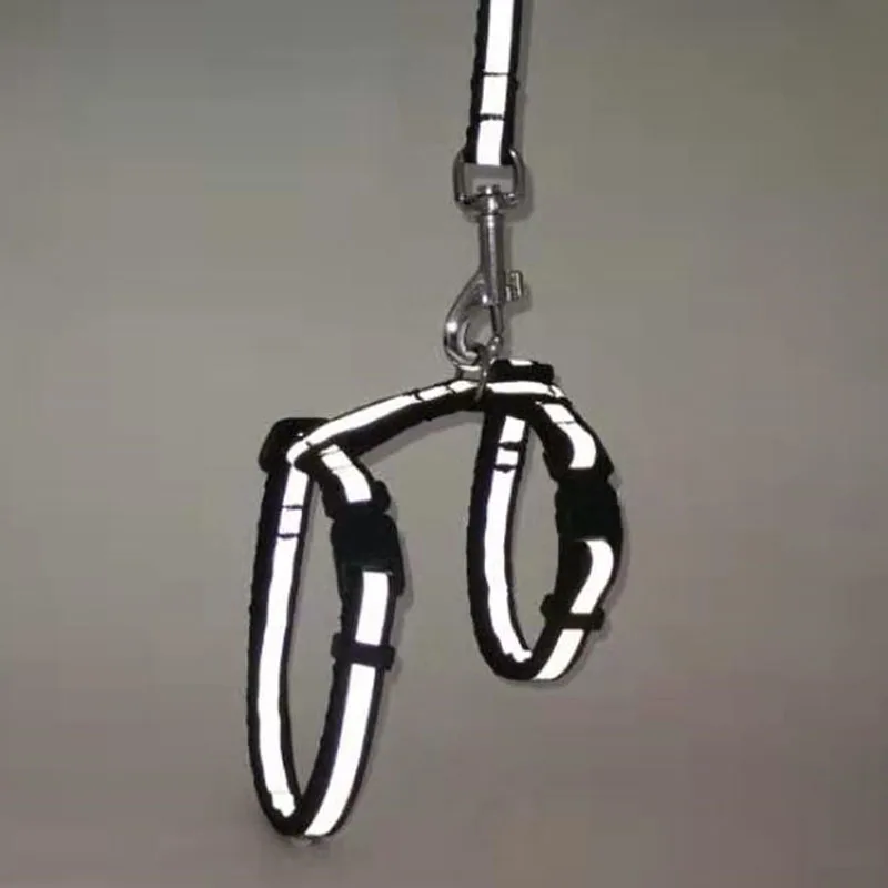 Arnés de nailon reflectante para mascotas, correa ajustable brillante para gatito, cachorro, Collar Halter, cinturón para perros - imagen 3