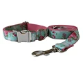 Dog Collar Leash Set