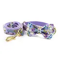Bow Collar Leash Set