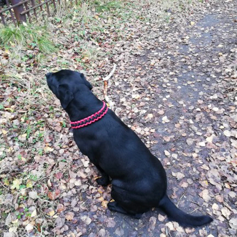 Collar ancho para perros medianos y grandes, cuerda de nailon fuerte tejida, cadena P de deslizamiento limitada, pastor alemán Pit Bull Rottweiler - imagen 4