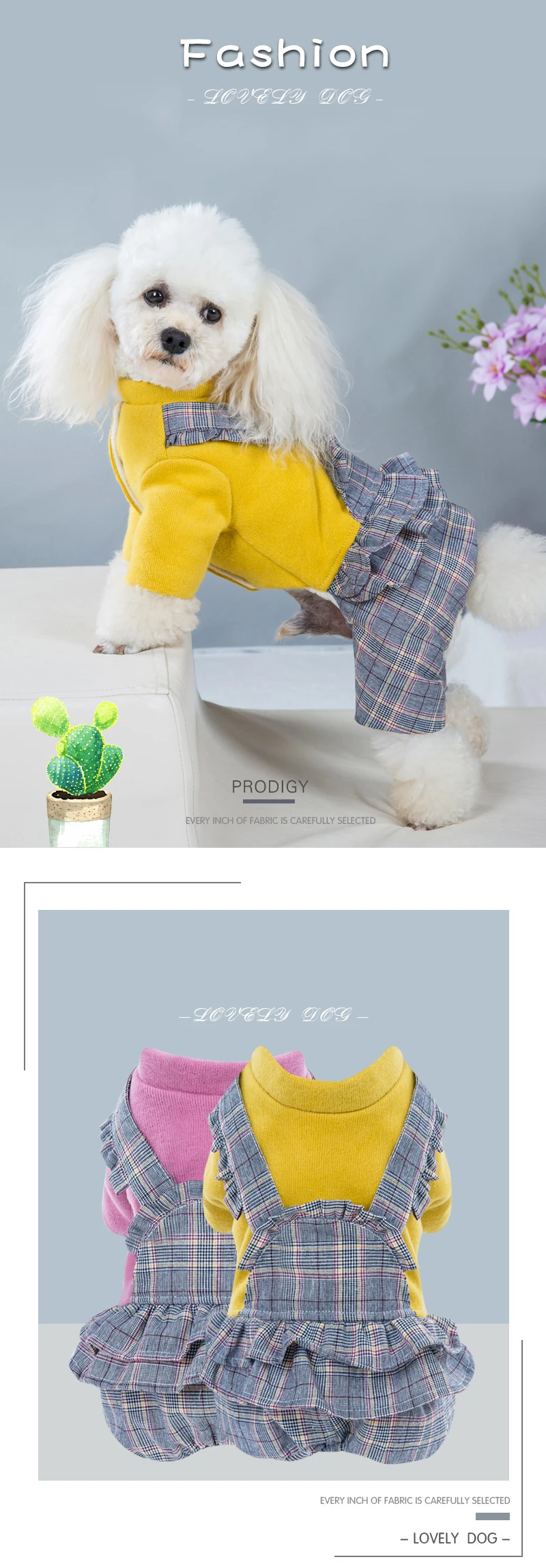 19351183567_926934974