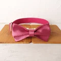 Dog Collar Bow Tie
