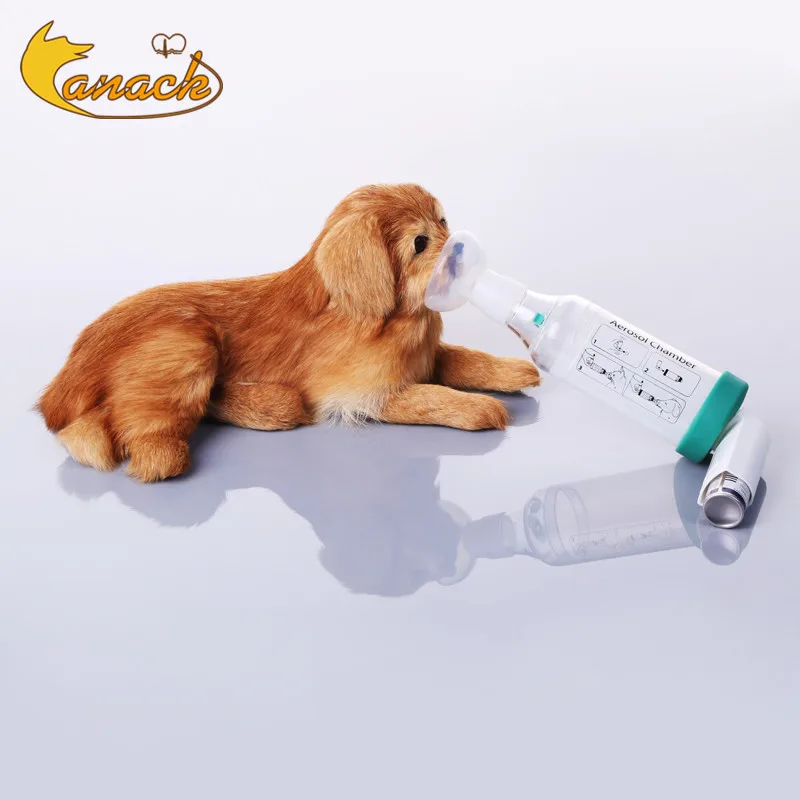 Cámara de Aerosol para Mascotas - imagen 2
