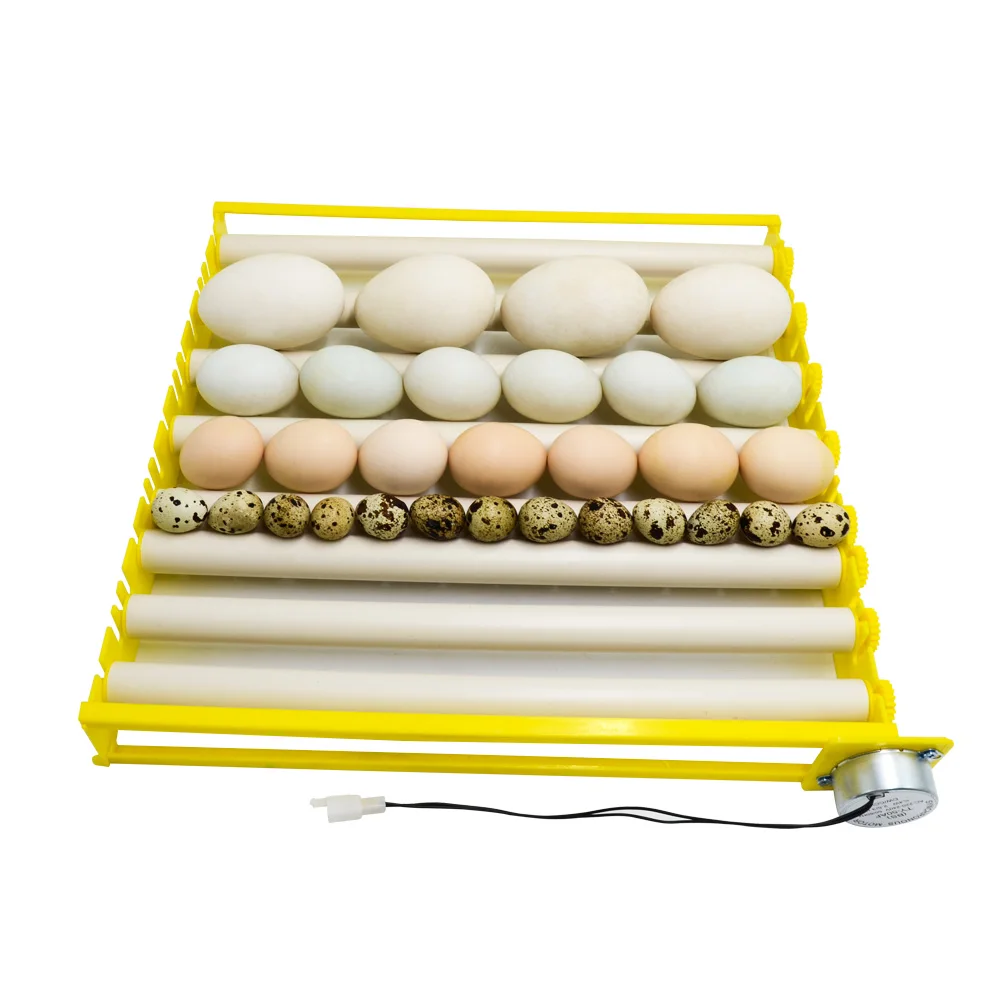 Bandeja automática para huevos con rodillo 360 °   Turner de huevos giratorio, incubadora de huevos de 220V, accesorio de incubación de huevos con patrón para aves y pollos - imagen 4