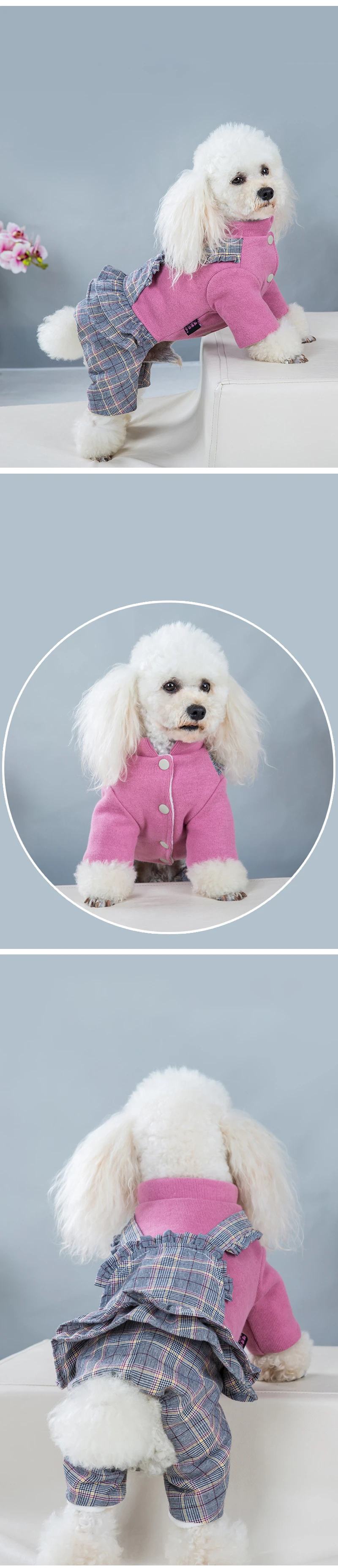 19426004894_926934974