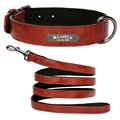 DarkRed Collar Leash