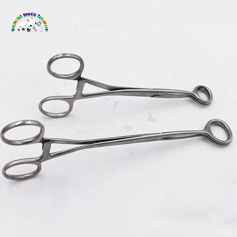 Pinzas para lengua, pinzas médicas para siembra de lengua de acero inoxidable, pinzas para sujetar la lengua, instrumentos dentales veterinarios - imagen 4