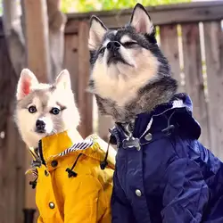 Chubasquero impermeable para perros con capucha, varias tallas