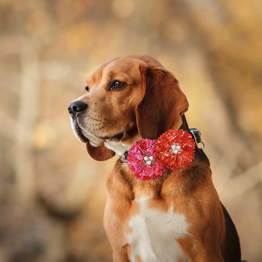 Collar de flores, 50 Uds., suministros para perros, pajarita deslizante para perros, dijes para Collar de perro pequeño, accesorios de boda para perros, suministros bonitos de moda para mascotas - imagen 4