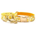 Dog Collar Leash Set