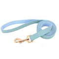 blue leash