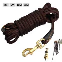 Correa nailon resistente para perros - Cómoda para entrenamiento y paseo