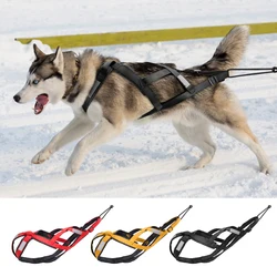 Arnés reflectante impermeable para perros grandes Chaleco entrenamiento